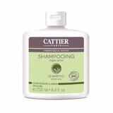 Organic shampoo with green clay for oily hair, 250 ml, Cattier