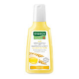 Shampoo idratante con uovo e olio, 200 ml, Rausch