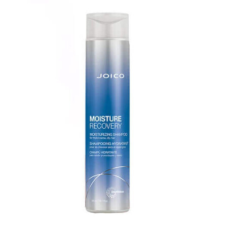 Feuchtigkeitsspendendes Shampoo JO2564532, 300ml, Joico