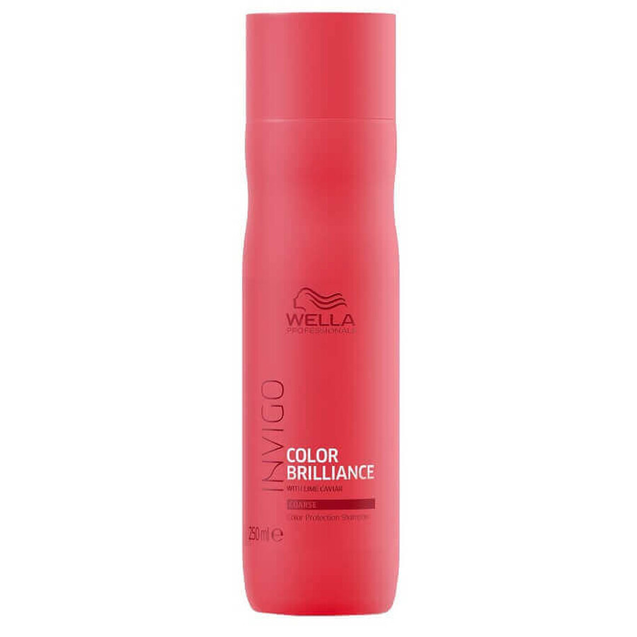 Shampoo per capelli tinti Invigo Color Brilliance Coarse, 250 ml, Wella Professionals