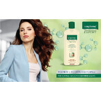 Shampoo Rigenerante con Cheratina, Gerovital Tratament Expert, 250 ml, Farmec