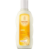 Regenerating shampoo with oats, 190 ml, Weleda