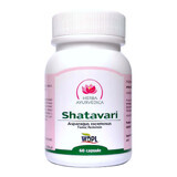 Shatavari, 60 capsule, erbe ayurvediche