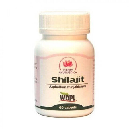 Shilajit, 60 capsule, erbe ayurvediche