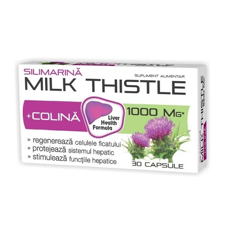 Silimarina + Colina Milk Thistle 1000 mg, 30 capsule, Zdrovit