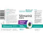 Silimarină Forte, 90 capsules, Rotta Natura