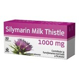 Silymarin Milk Thistle 1000 mg, 30 capsule, Biofarm