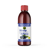 Sugar-free Blueberry Syrup, 500ml, Hypericum