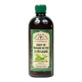 Pine and Pomegranate Syrup, 500 ml, Aroma Plant