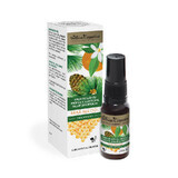 Bee Carpathian Bee throat spray with propolis, pine oil, sage and orange, 20 ml, Apicola Pastoral