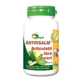 Artrisalm, 100 compresse, Ayurmed