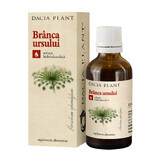 Tintura di Brânca Ursului, 50 ml, Dacia Plant 