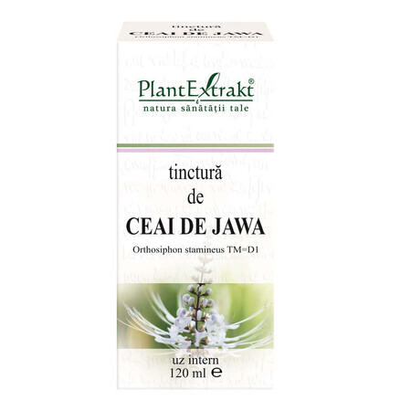 Tintura de Té Jawa, 120 ml, Plant Extrakt