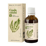 Horsetail Tincture, 50 ml, Dacia Plant