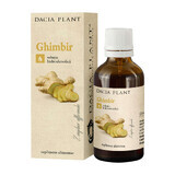 Ginger Tincture, 50 ml, Dacia Plant