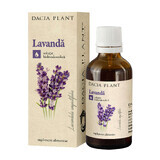 Lavender tincture, 50 ml, Dacia Plant