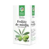 Maslin tincture, 50 ml, Divine Star