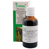 Tintura di piantaggine, 50 ml, Hofigal