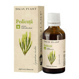 Pedicutica tincture, 50 ml, Dacia Plant