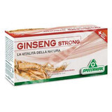 Specchiasol Ginseng Strong Integratore Alimentare 12 Flaconcini Da 10ml