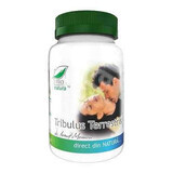 Tribulus Terrestris, 60 capsules, Pro Natura