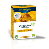 Curcuma e Zenzero Bio, 20 fiale bevibili, Dietaroma