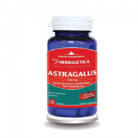 Astragalus 500 mg, 30 capsules, Herbagetica