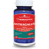 Astragalus 500 mg, 60 capsules, Herbagetica