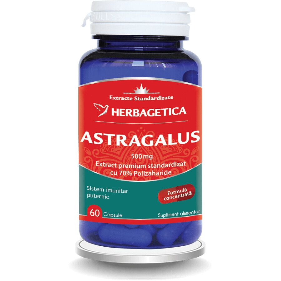 Astragalus 500 mg, 60 capsules, Herbagetica