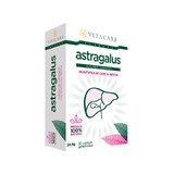 Astragalus Forte, 30 capsule, Vitacare