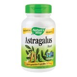 Astragalus Root Nature Way, 470 mg, 100 capsule, Secom