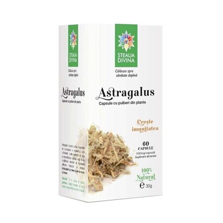 Astragalus, 60 capsules, Divine Star