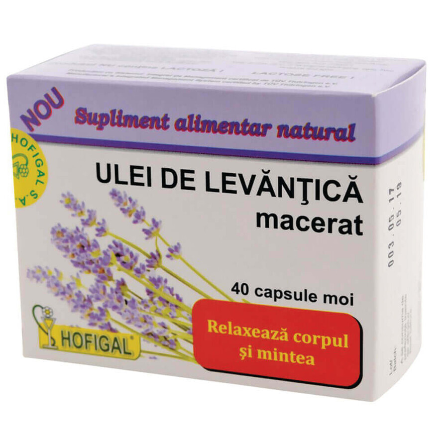 Lavender Oil, 40 capsules, Hofigal