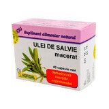 Olio di Salvia macerato 500 mg, 40 capsule, Hofigal