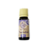 Olio essenziale di lavanda, 10 ml, Herbavit