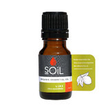 100% Organic Pure Lime Essential Oil, 10 ml, SOiL