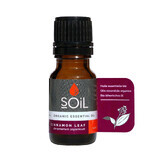 100% Organic Pure Cinnamon Essential Oil, 10 ml, SOiL