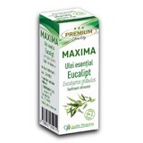 Eucalyptus Maxima essential oil, 10 ml, Justin Pharma