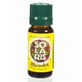 Ginger essential oil, 10 ml, Solaris