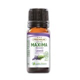 Lavender essential oil, 10 ml, Justin Pharma