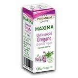 Oregano Maxima essential oil, 10 ml, Justin Pharma