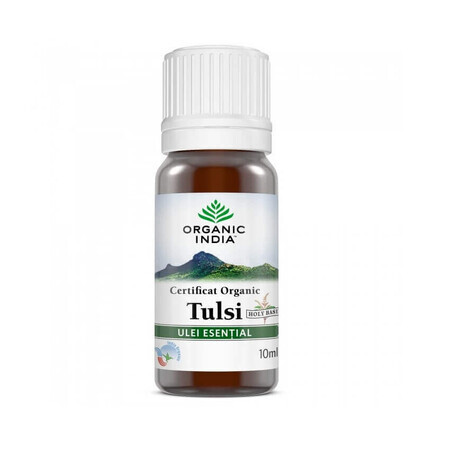 Olio essenziale di Tulsi, 10 ml, India biologico