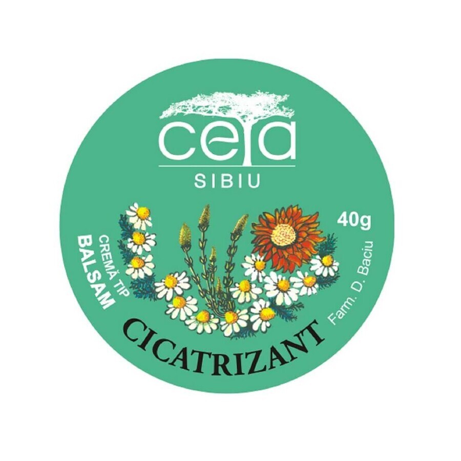 Unguento curativo, 40 g, Ceta Sibiu