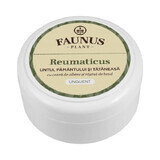 Unguento Rheumaticus Burro della Terra e Tataneasa, 100ml, Faunus Plant