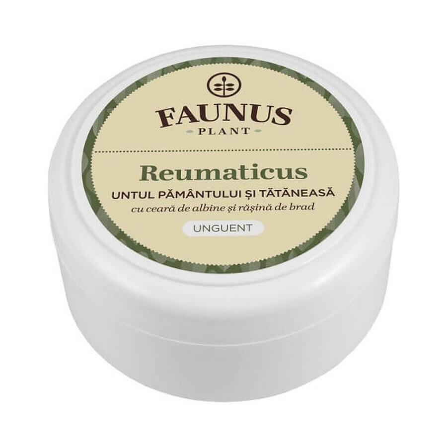 Rheumatic Ointment Earth Butter and Tataneasa, 100ml, Faunus Plant