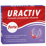 Uractiv Forte, 10 capsule, Fiterman Pharma