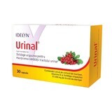 Urinal, 30 capsules, Walmark