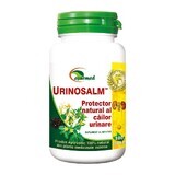 Urinosalm, 100 compresse, Ayurmed