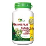 Urinosalm, 50 compresse, Ayurmed