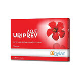 Uriprev Acut, 10 capsules, Hyllan